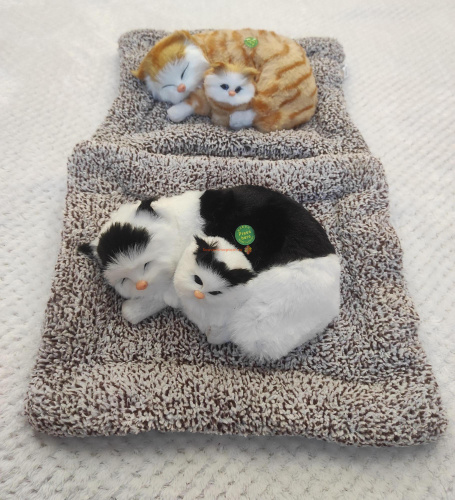 Купить "Кошка с котенком" во Улан-Удэ "Кошка с котенком" во Улан-Удэ